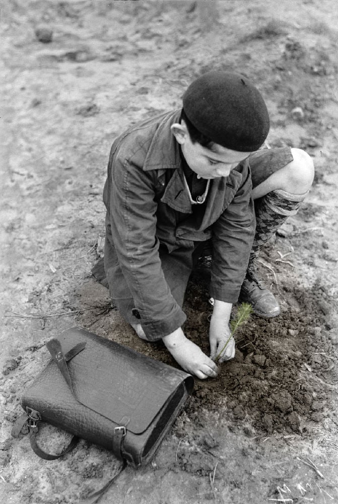 Tu Bishvat Planting-Colorized