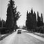 The Road to Petach-Tikva