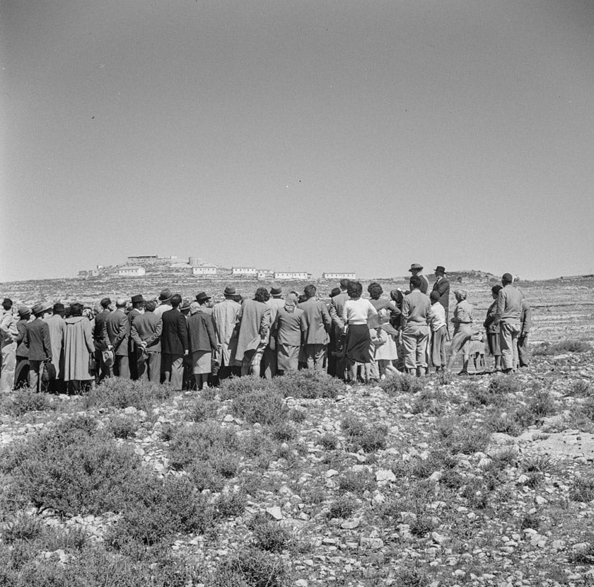 Forest Planting Neve Ilan