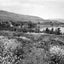 View of The Sea of Galilee