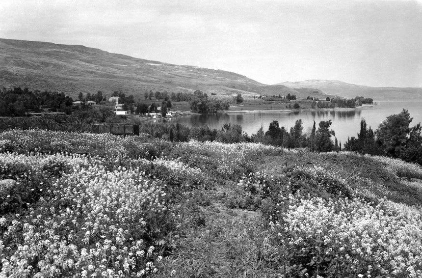 View of The Sea of Galilee