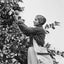 Youth Aliyah - Picking oranges