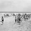 A caravan of camels on the beach