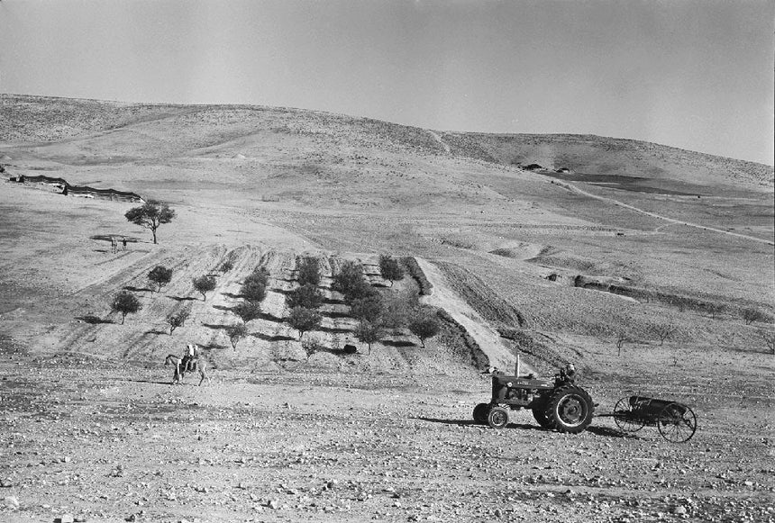 Bedouin Landscape