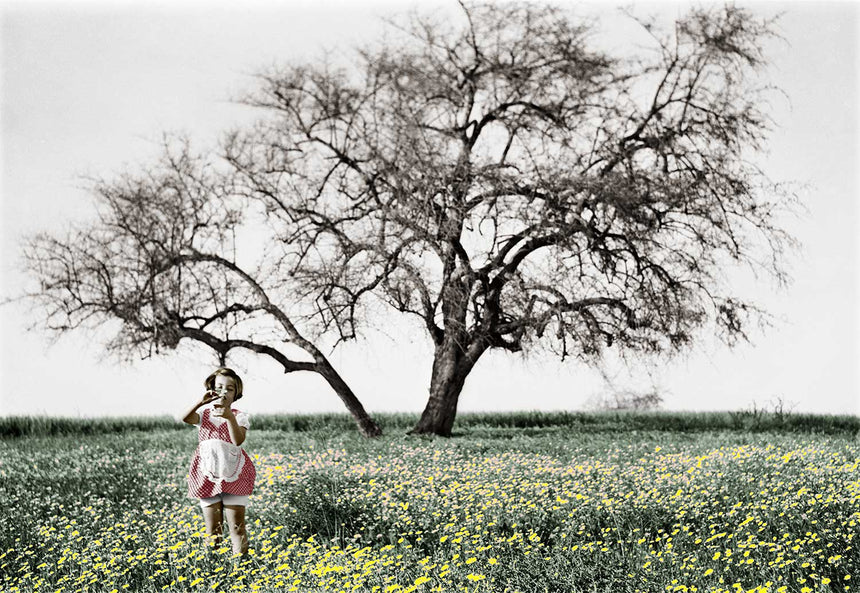 The Girl & the Tree - Colorized