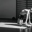 A boy exercising at the Edith Reiner Gymnastics School