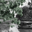 Boats on Yarkon River - Colorized