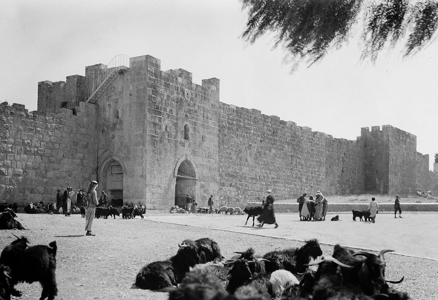 שער הפרחים (הורדוס) ירושלים