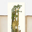 Bookmarks by Rutu Modan